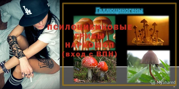сатива Богородицк