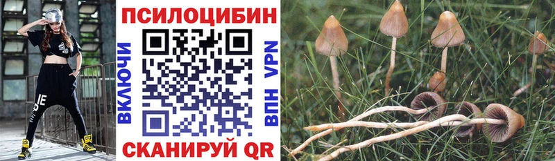 Галлюциногенные грибы мухоморы  omg tor  Екатеринбург  что такое наркотик 